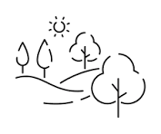 Landscaped Garden