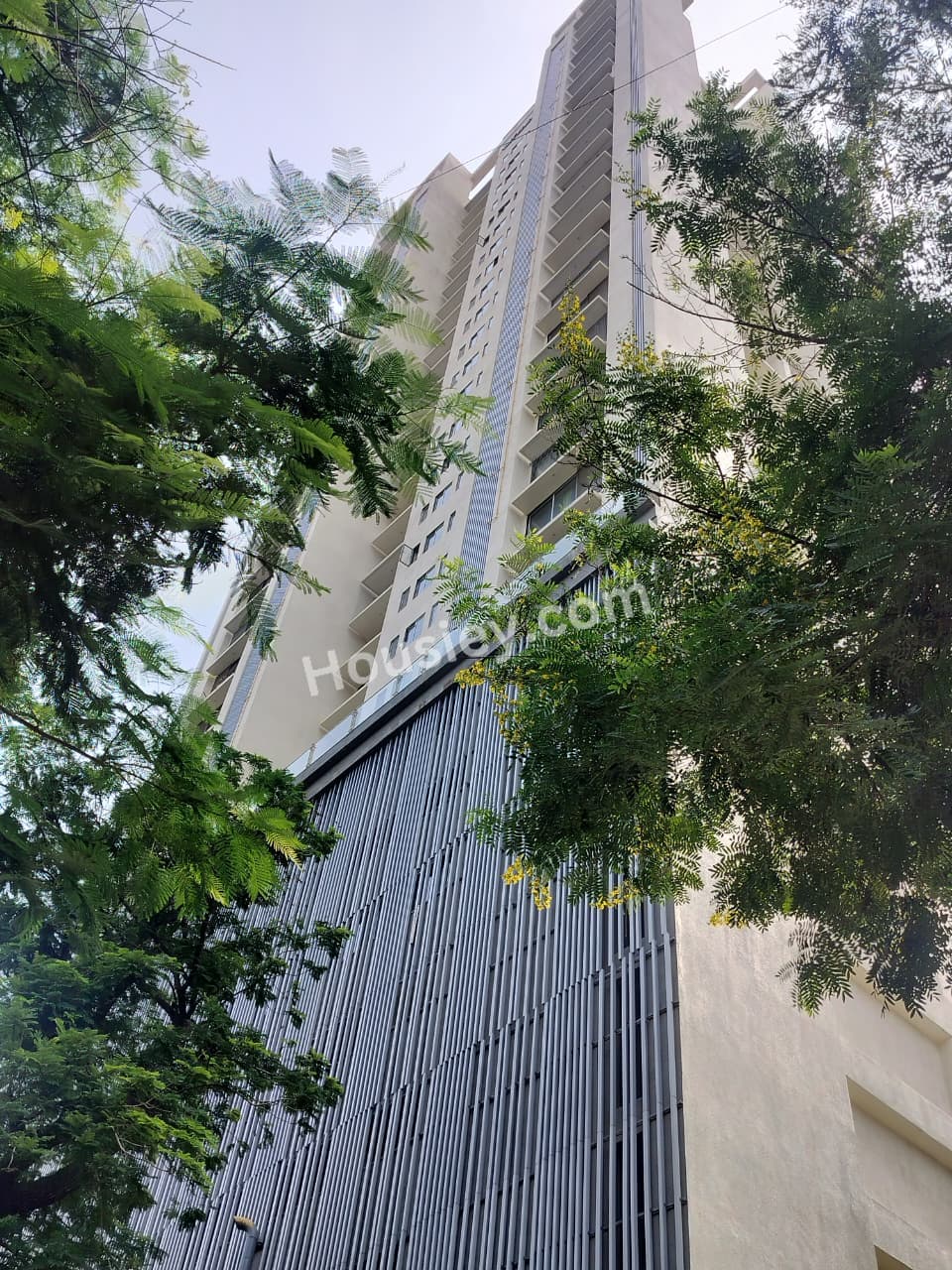 Construction update 2