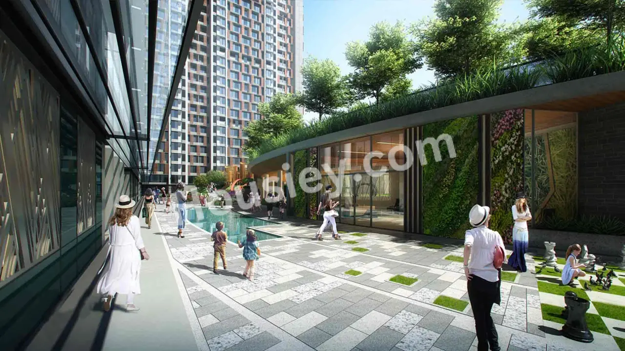 Project image 5