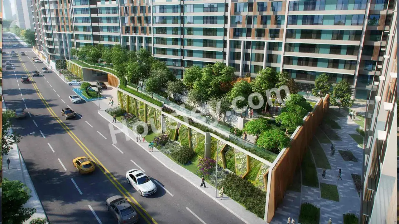 Project image 9