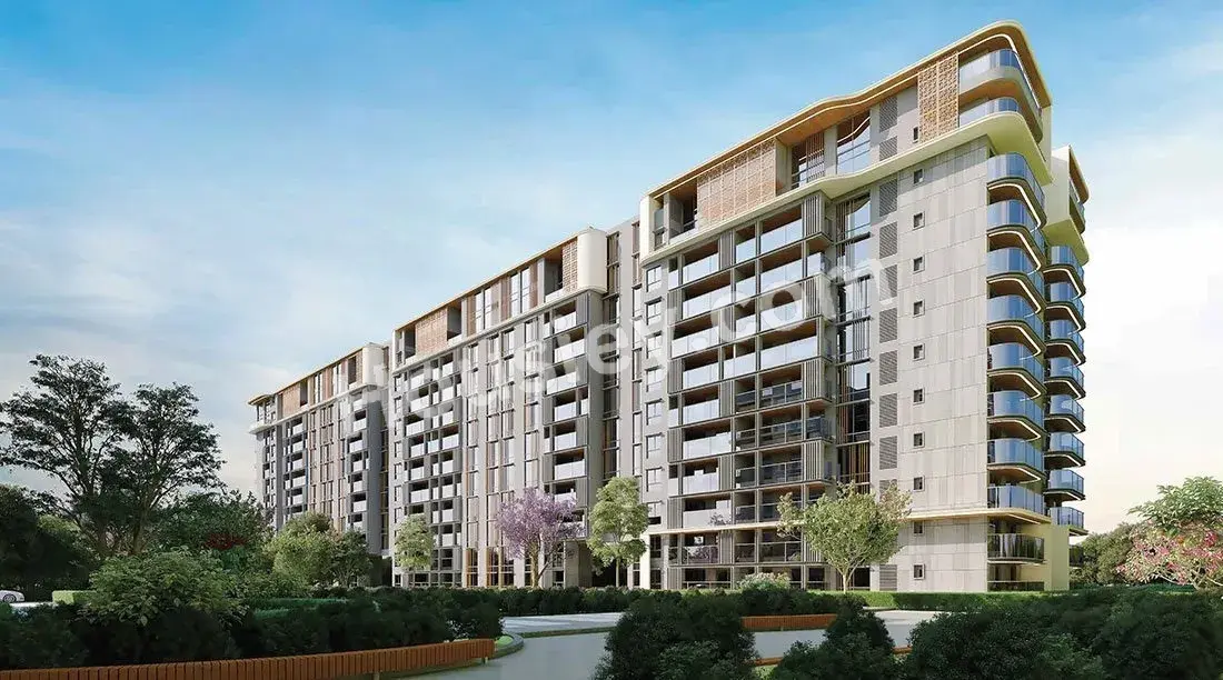 Project image 1
