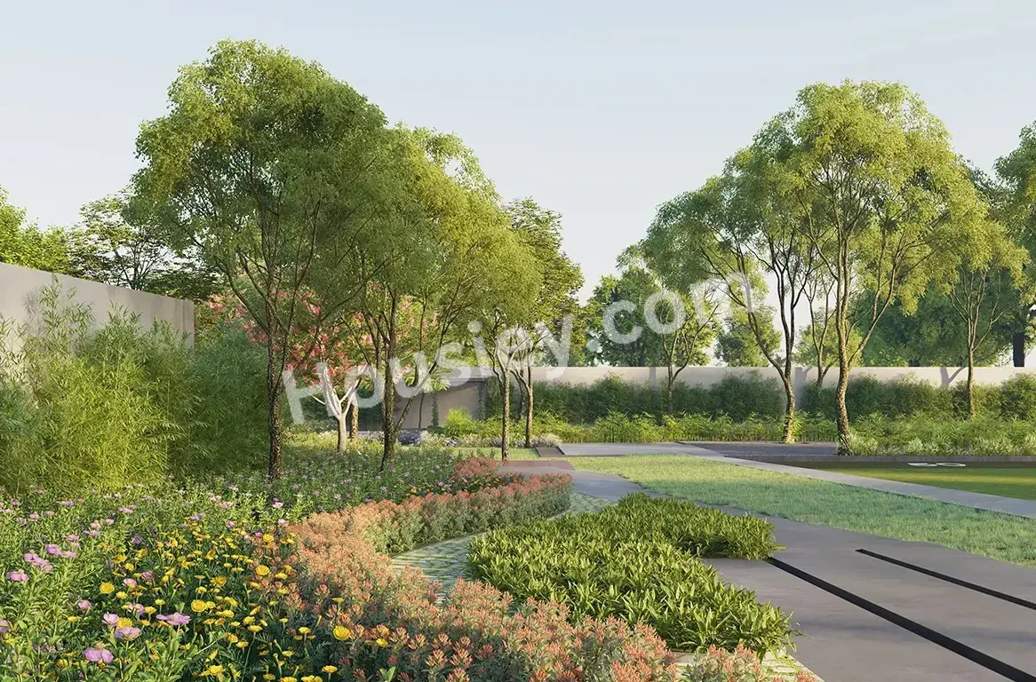Project image 6