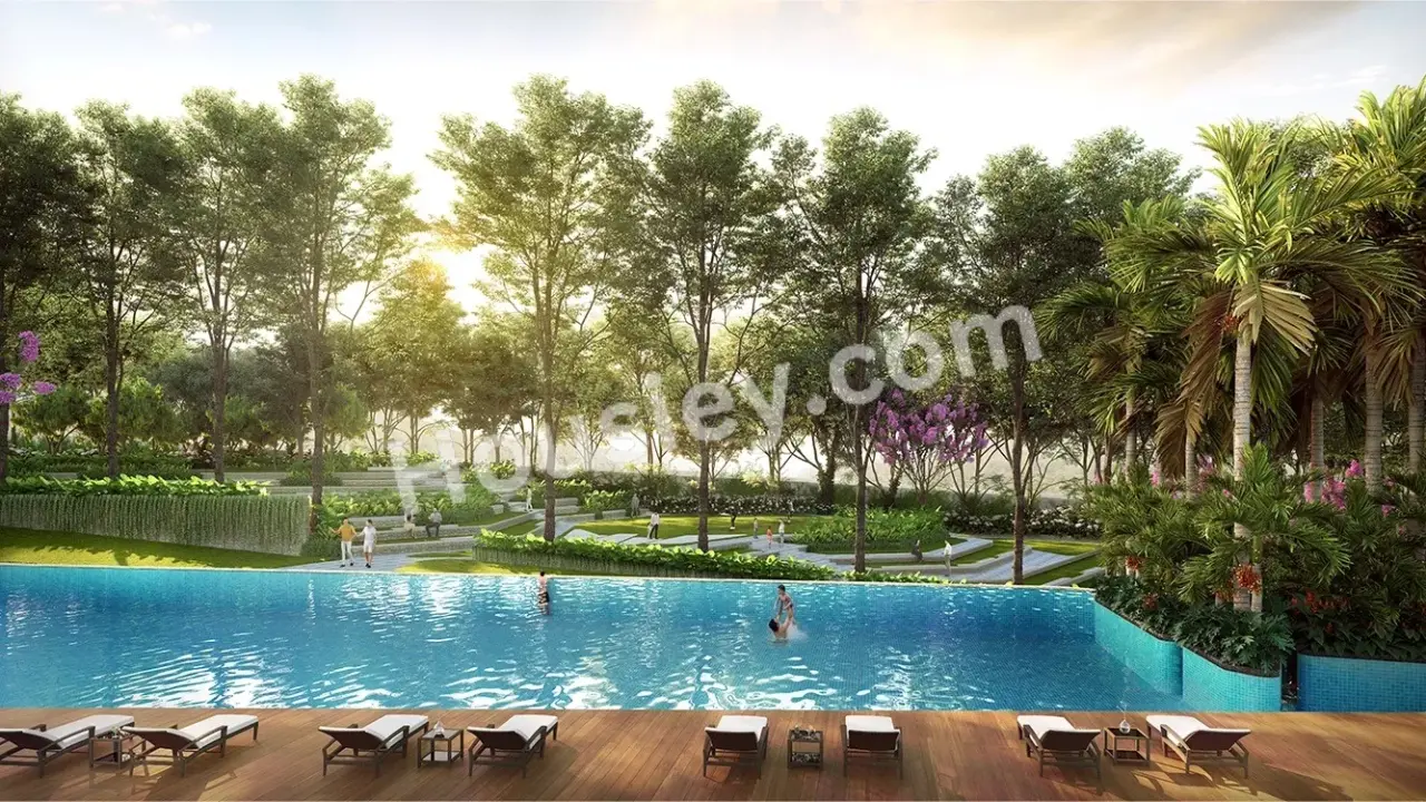 Project image 11