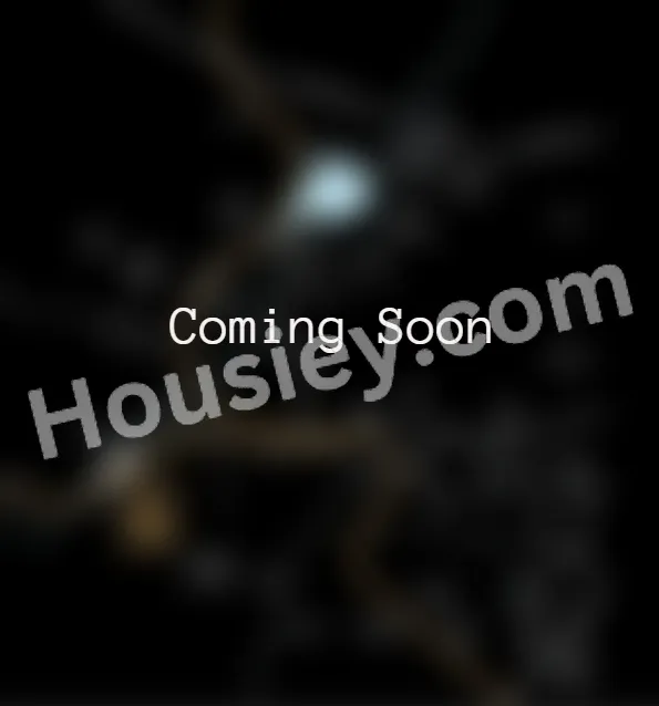 Project image 2