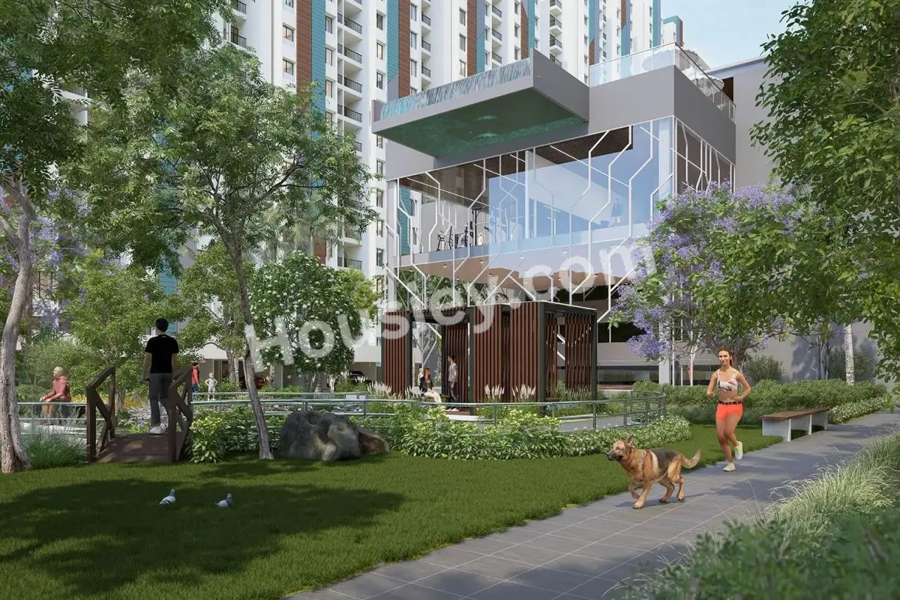 Project image 12