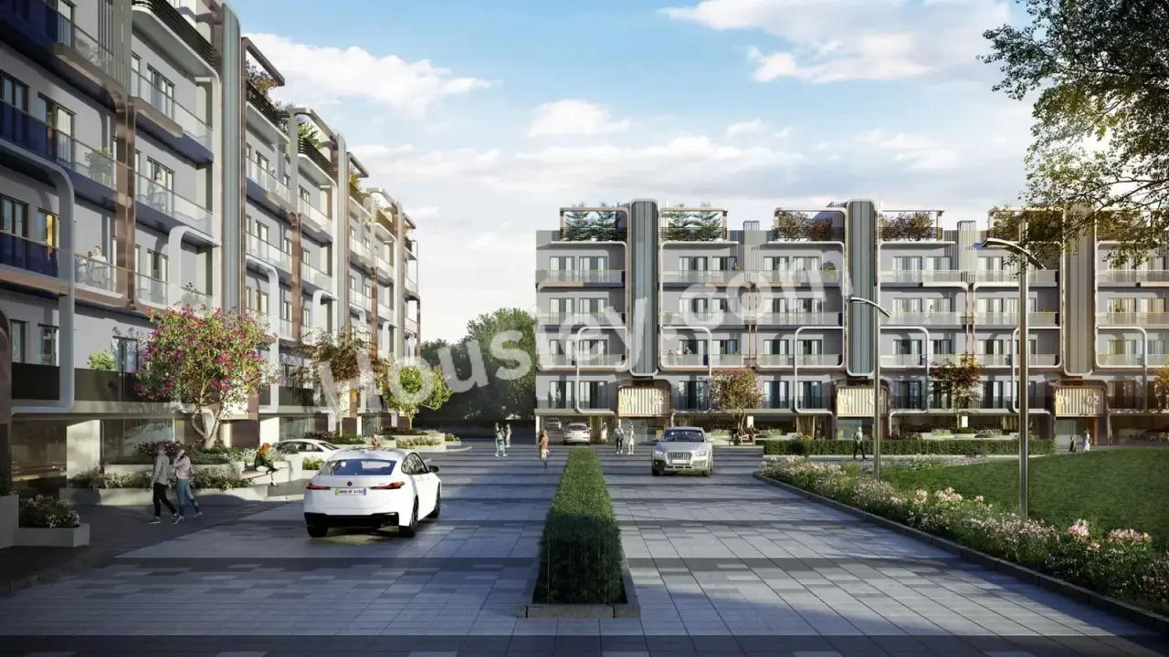 Project image 5