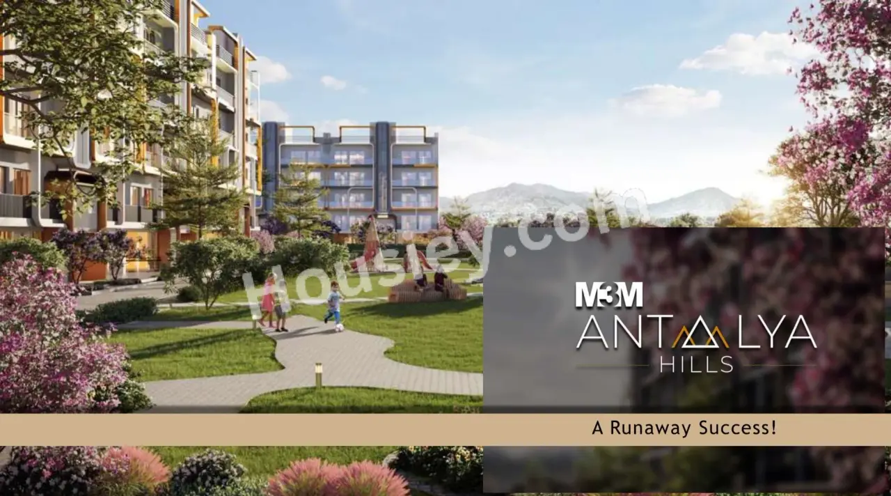 Project image 8