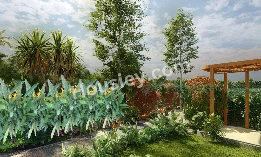 Project image 6