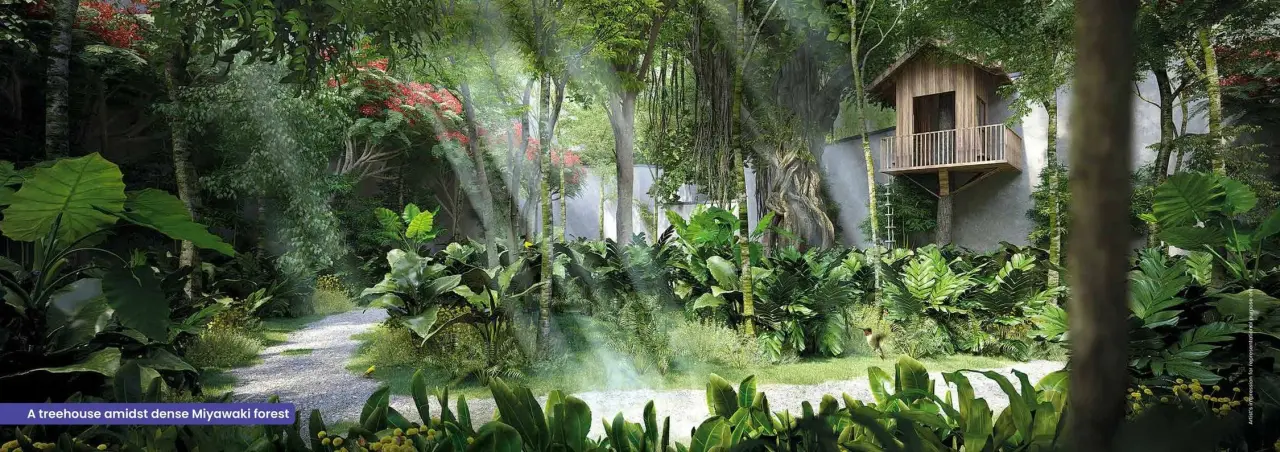 Project image 8