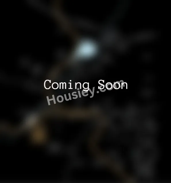 Project image 3