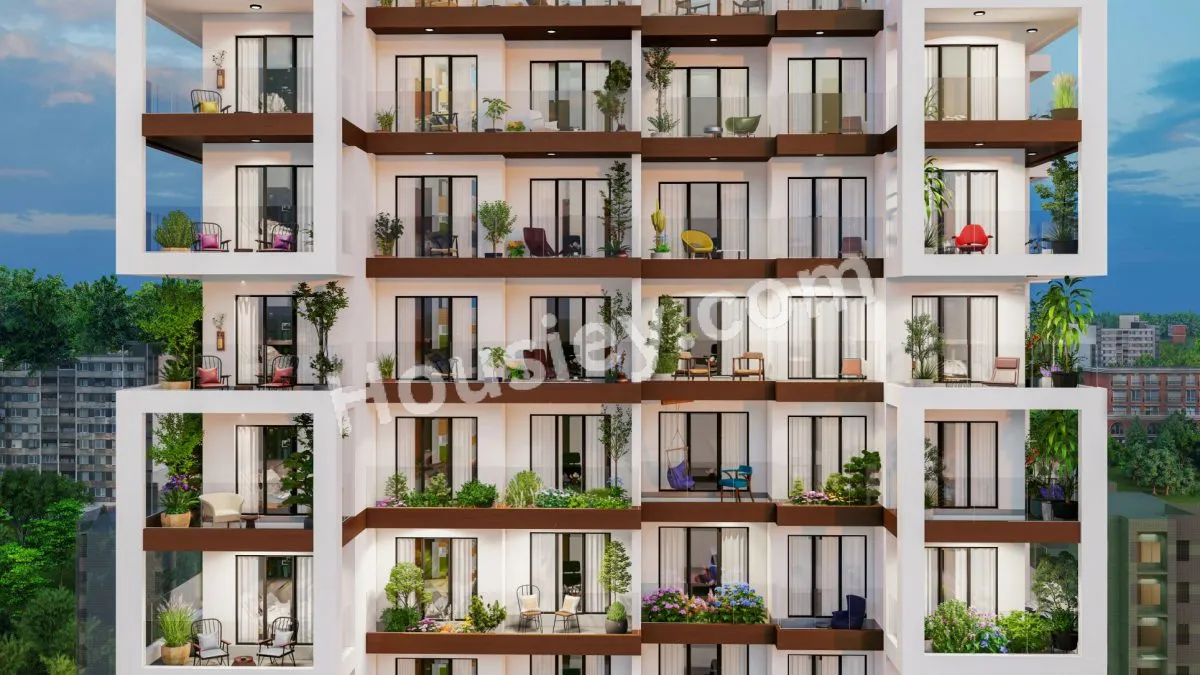 Project image 15