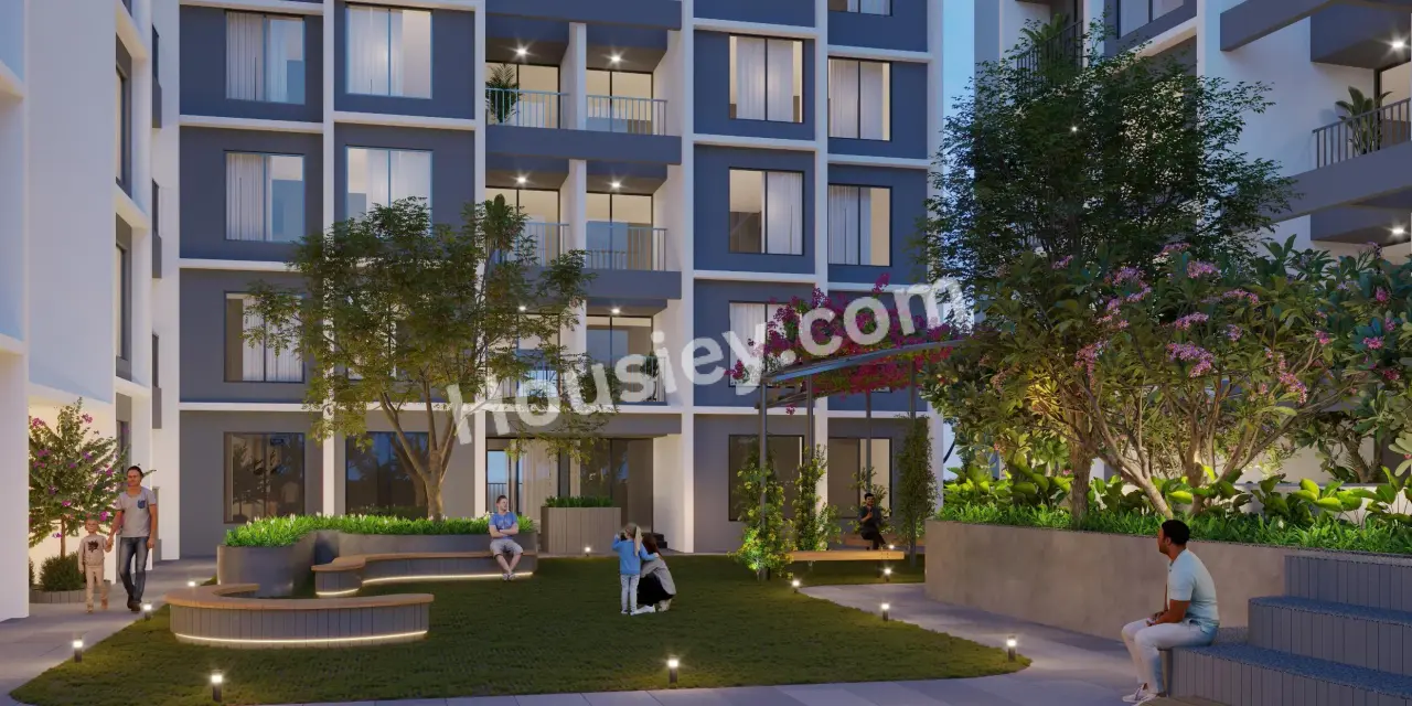 Project image 11