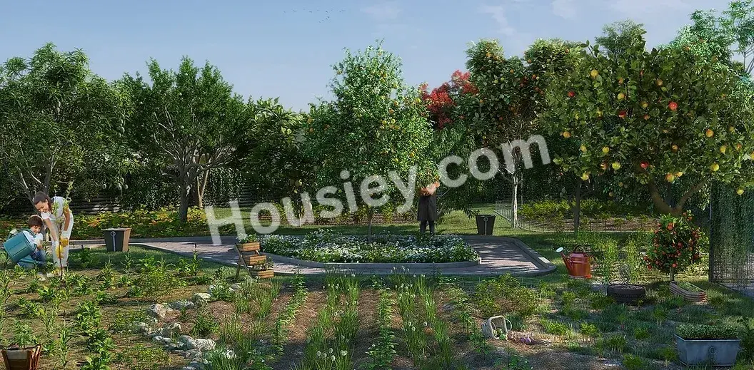 Project image 7