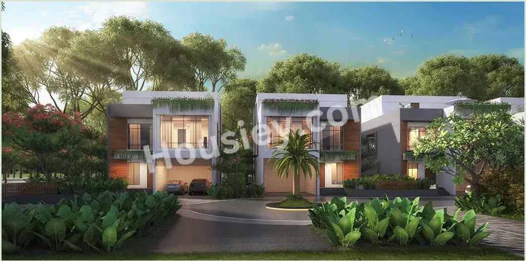 Project image 2