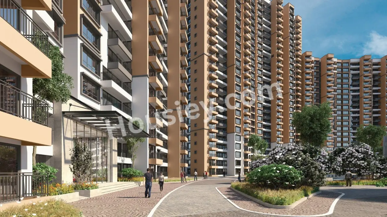 Project image 6
