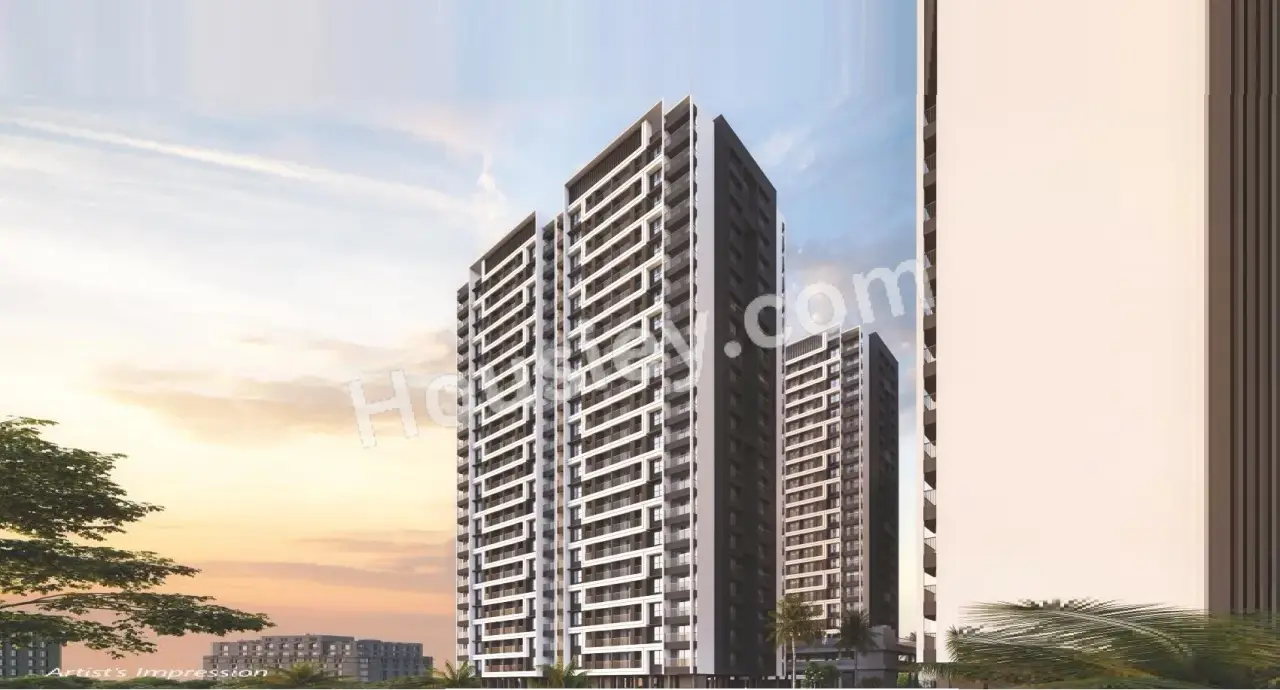 Project image 13