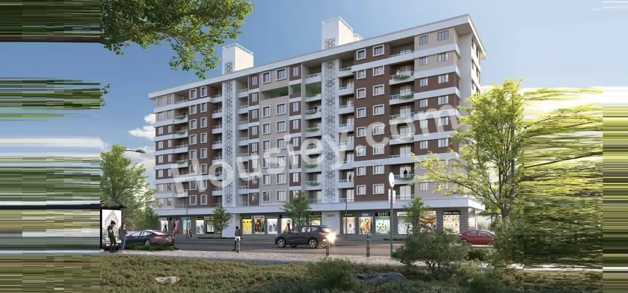 Project image 5
