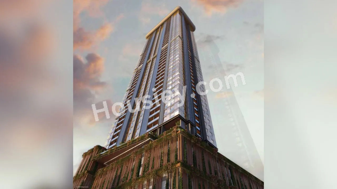 Project image 3
