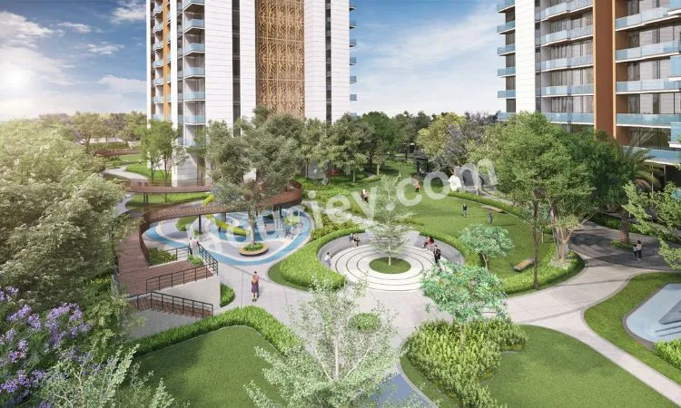 Project image 2