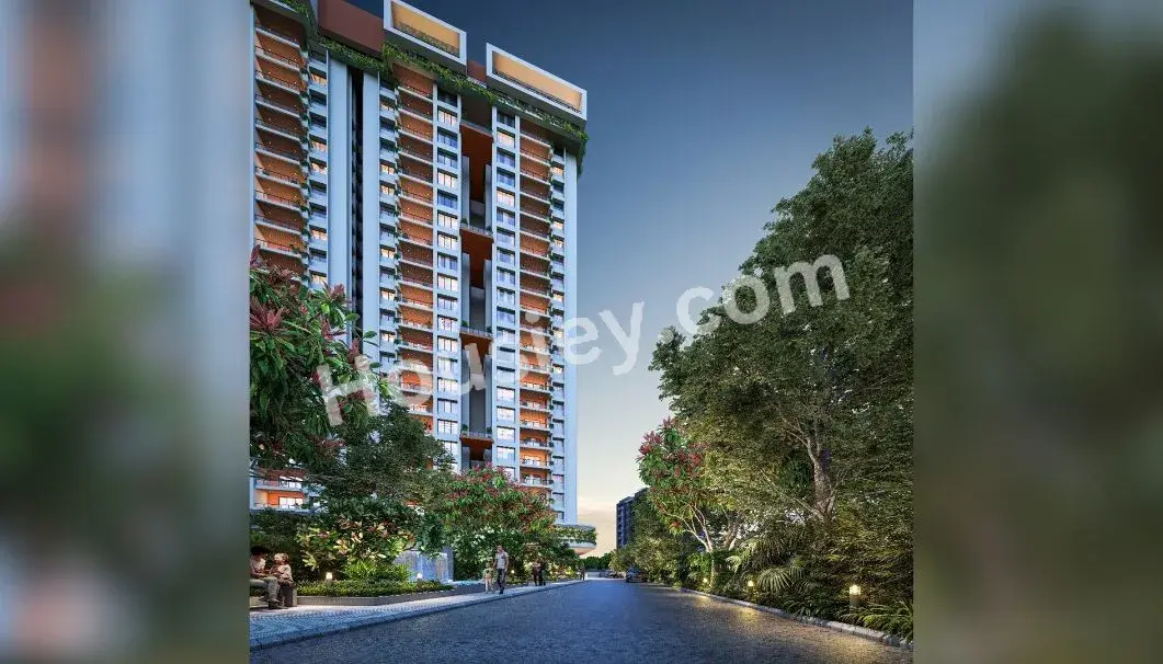 Project image 6