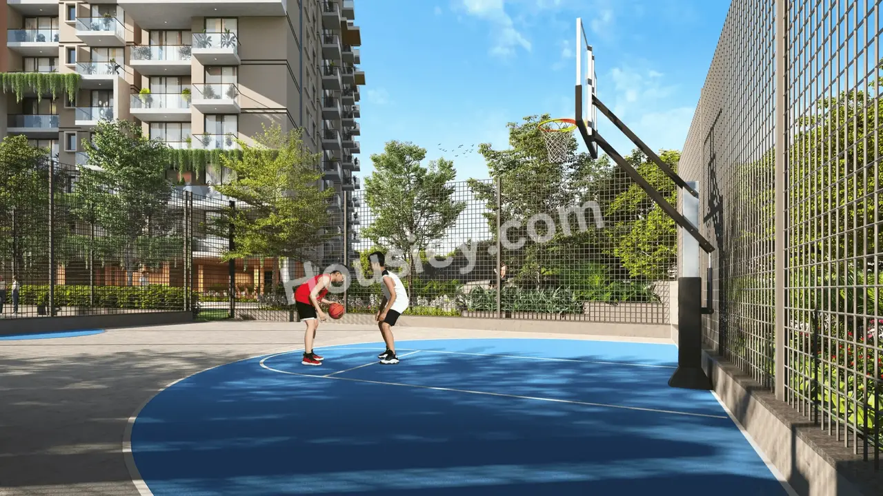 Project image 5