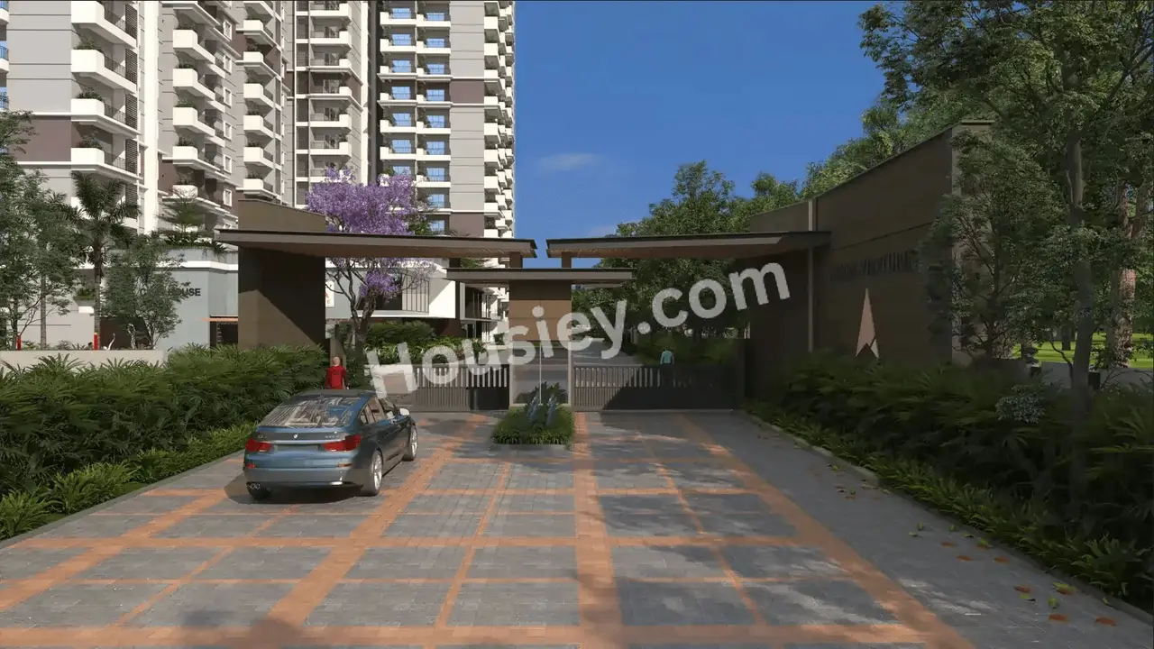 Project image 15