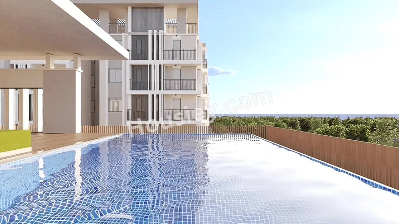 Project image 10