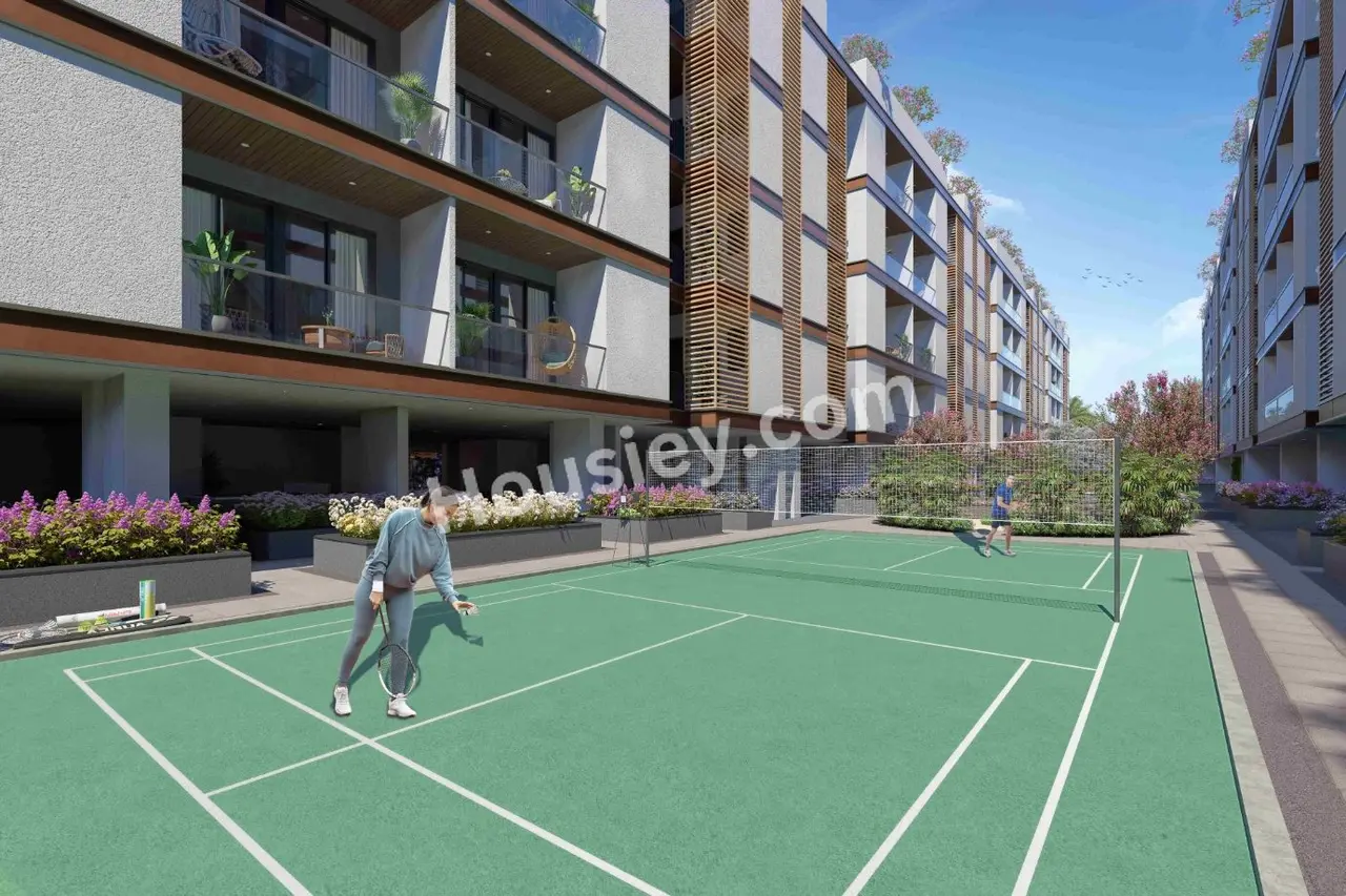 Project image 13