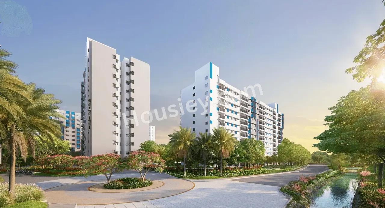 Project image 6
