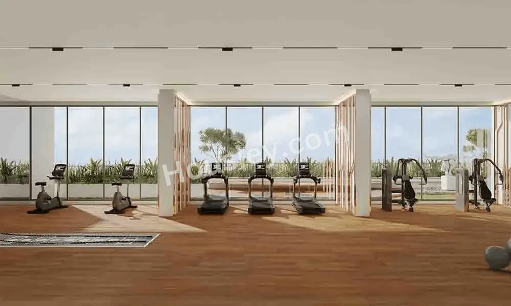 Project image 13