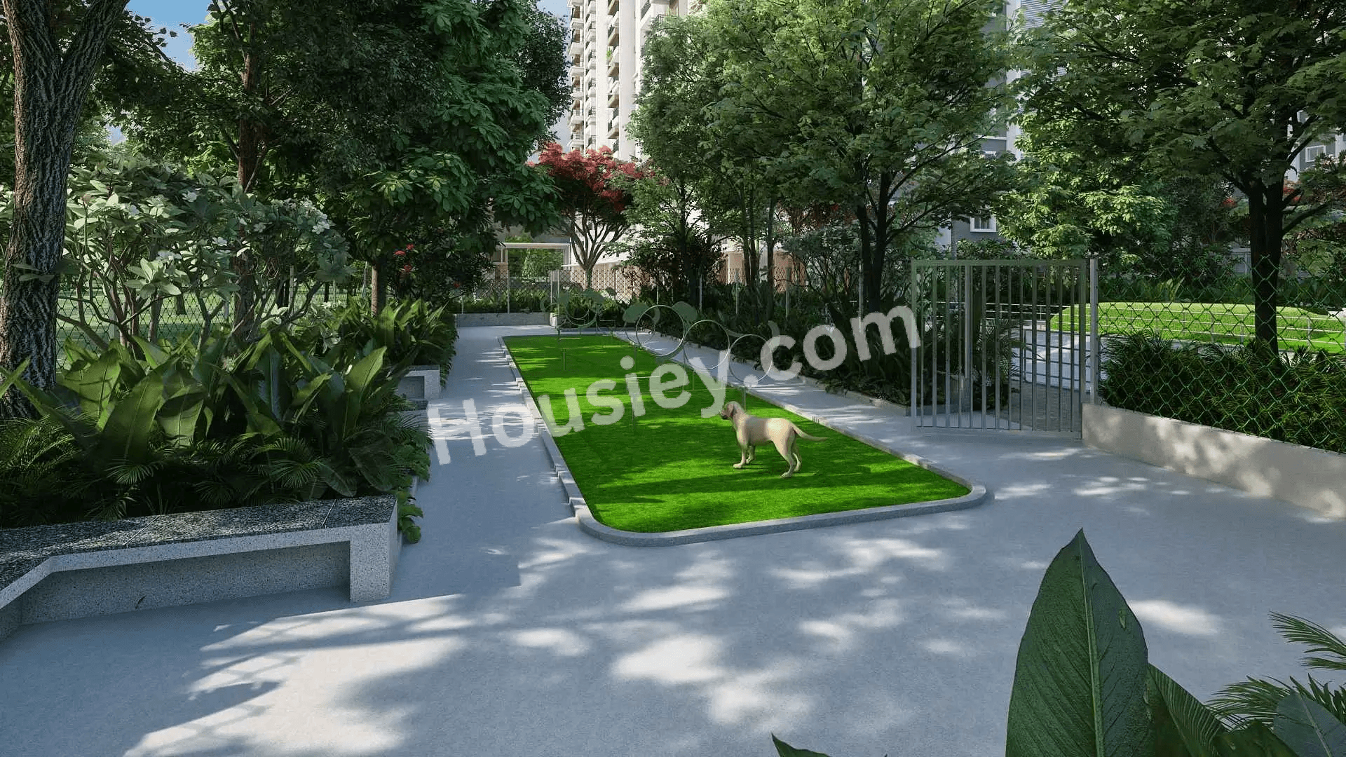 Project image 12