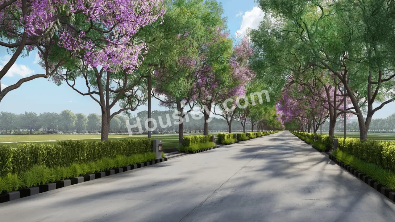 Project image 11