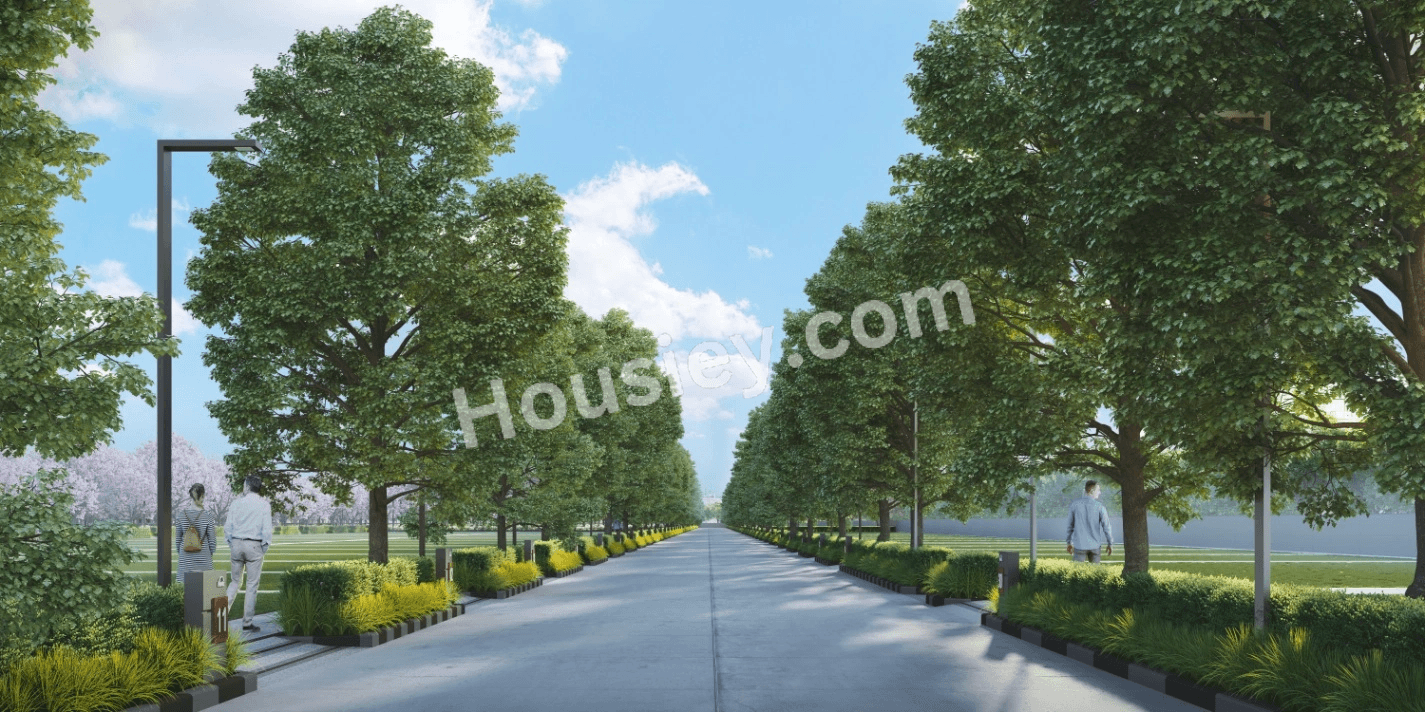 Project image 12