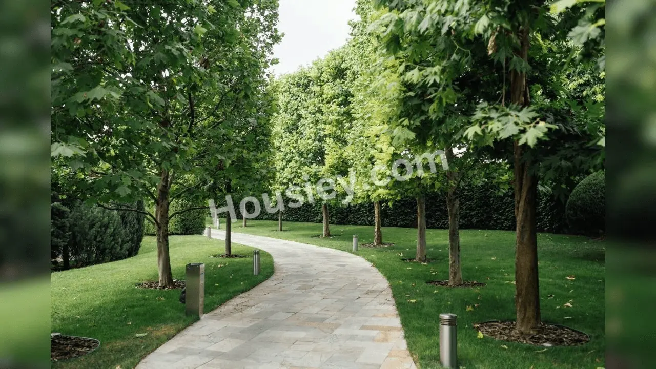 Project image 15