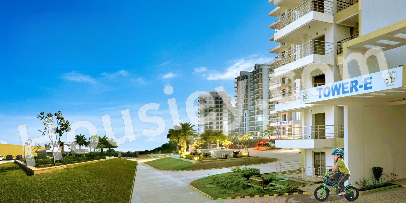 Project image 9