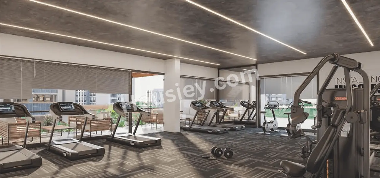 Project image 7