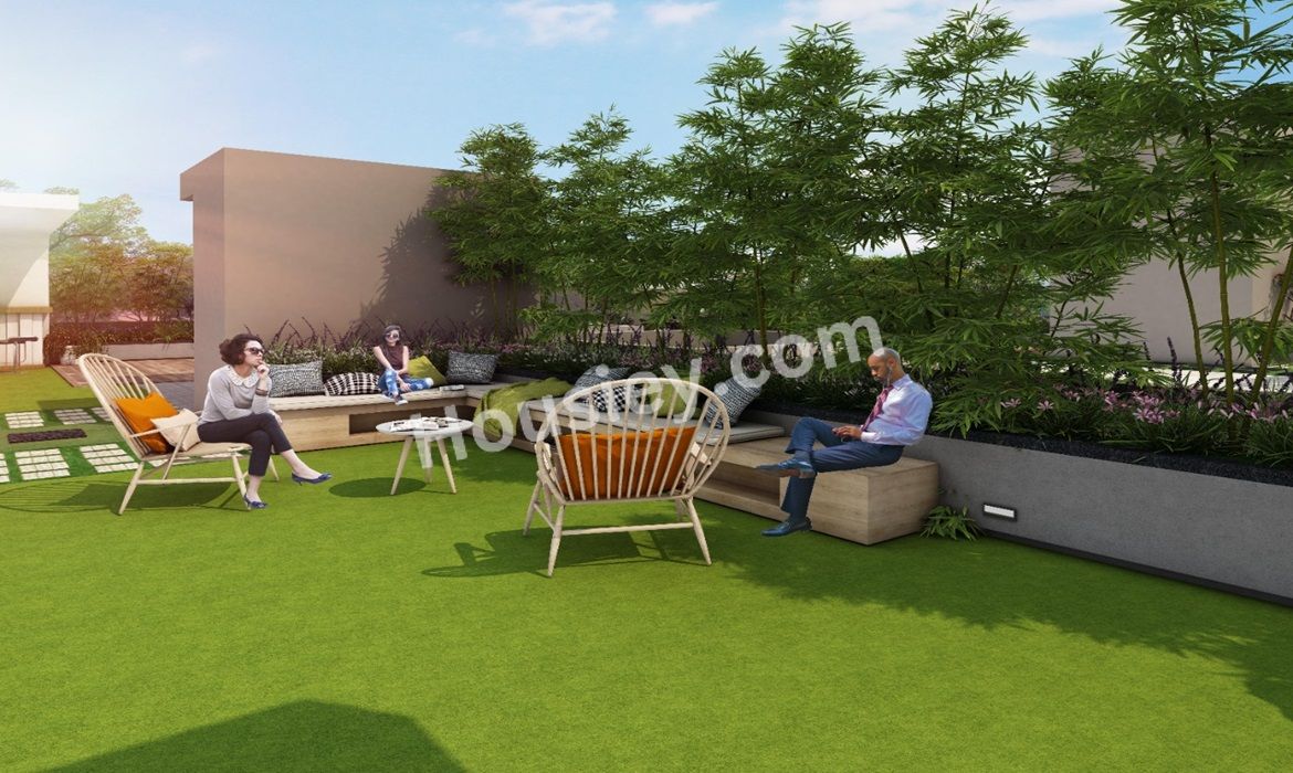 Project image 7