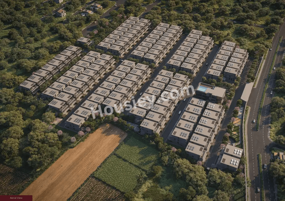 Project image 10
