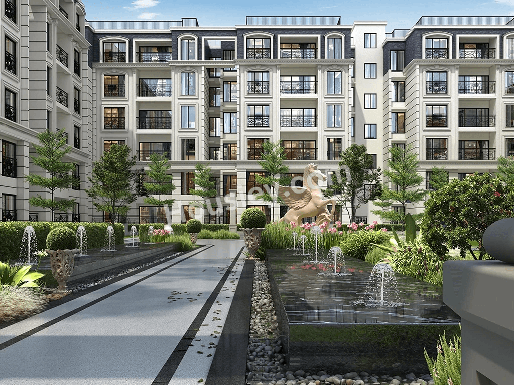 Project image 16