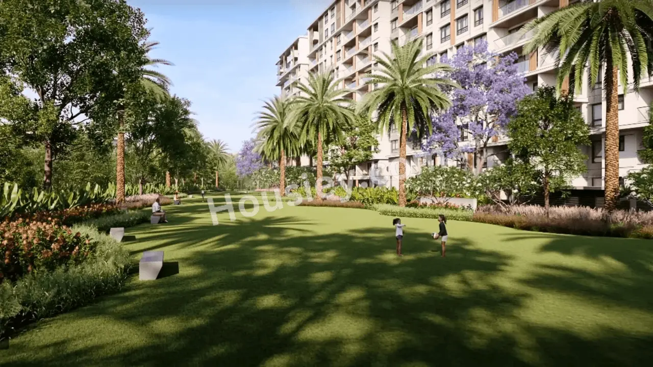 Project image 12