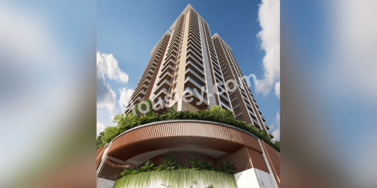 Project image 13