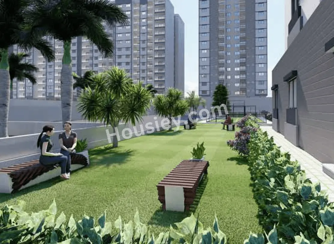 Project image 11