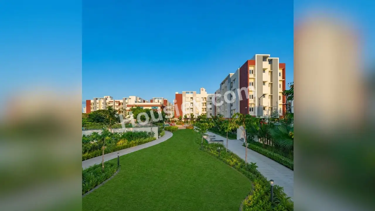 Project image 13