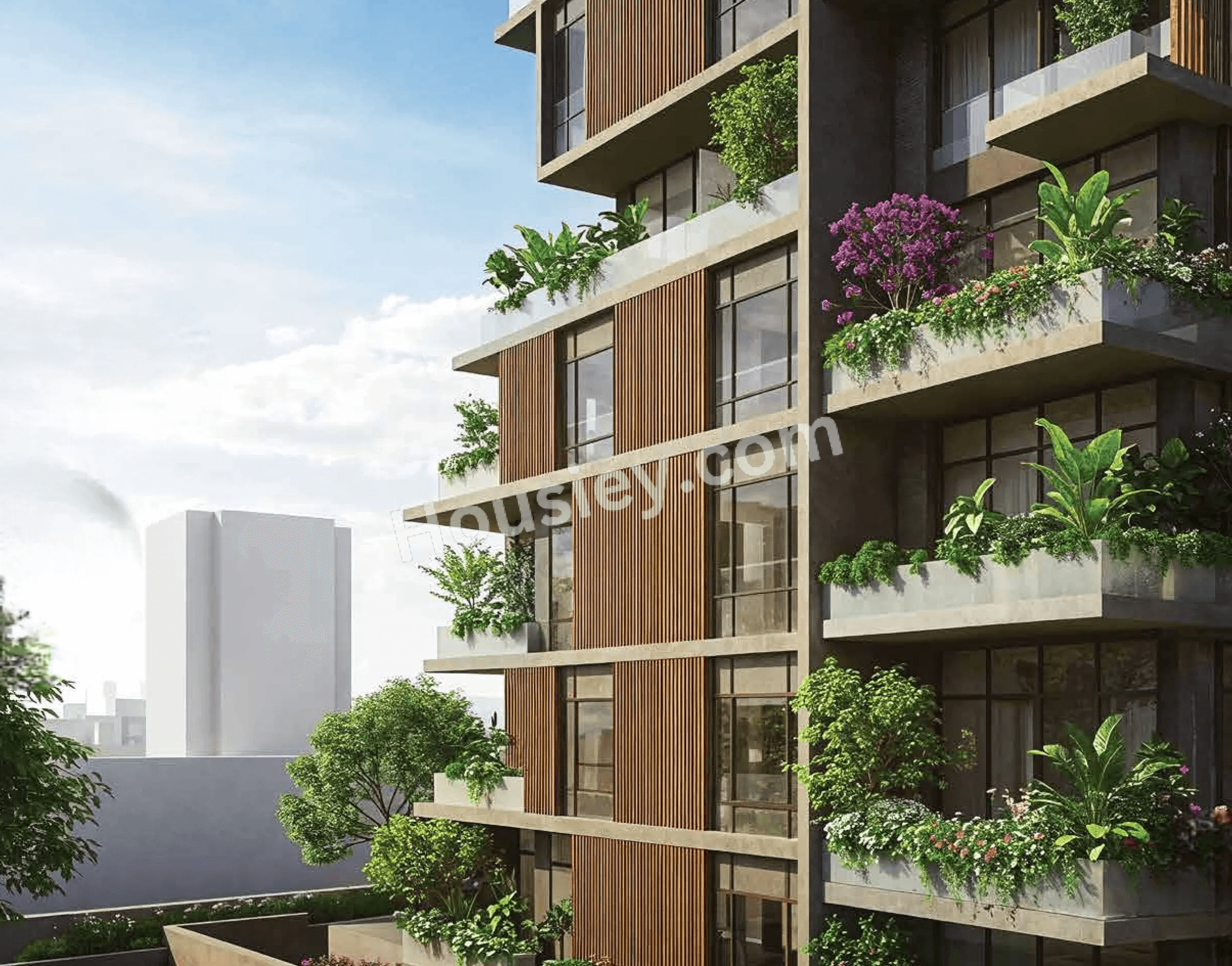 Project image 6