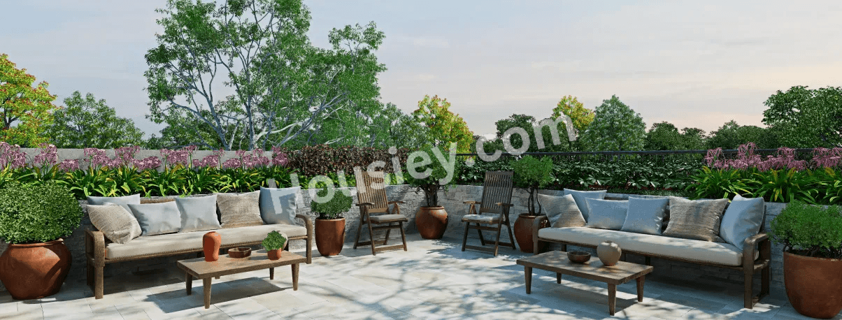 Project image 6