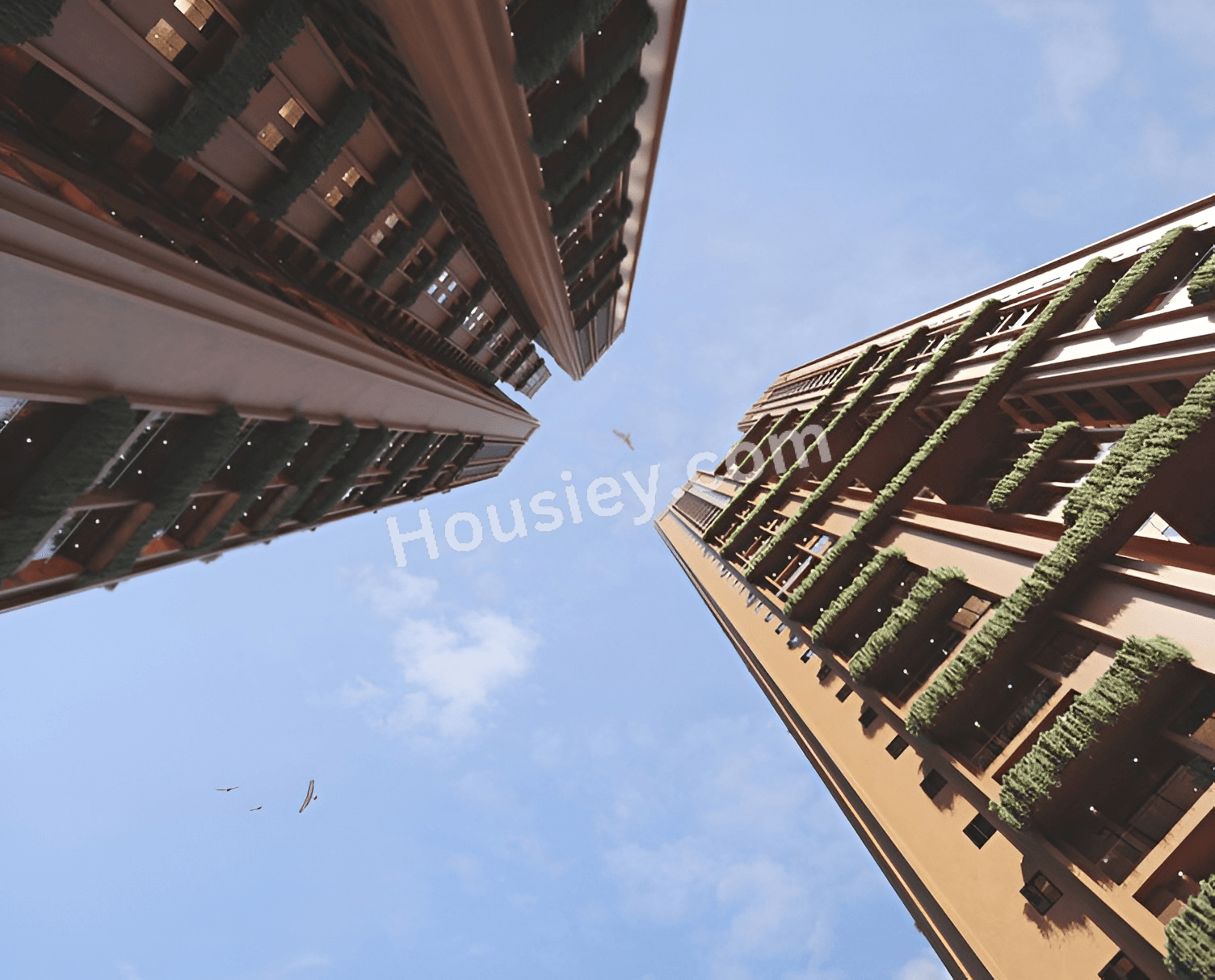 Project image 20