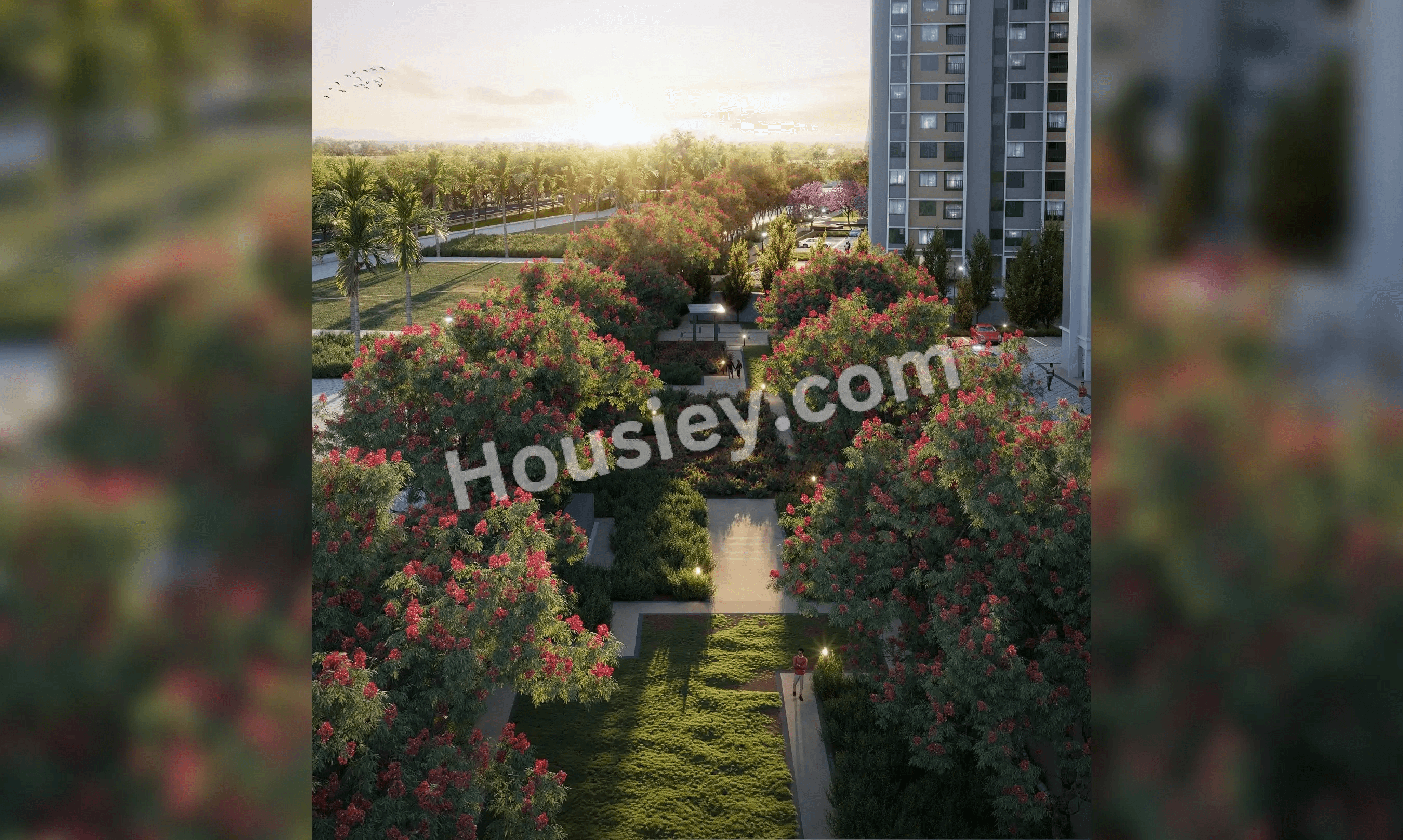 Project image 6
