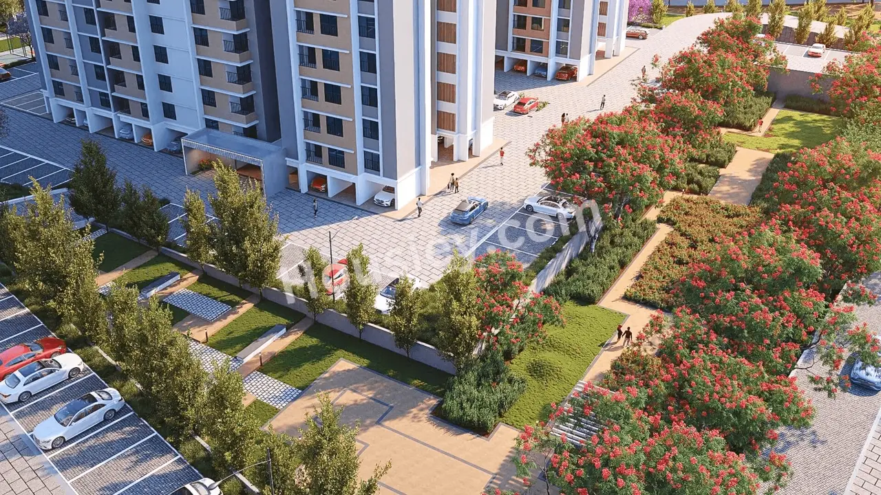 Project image 6