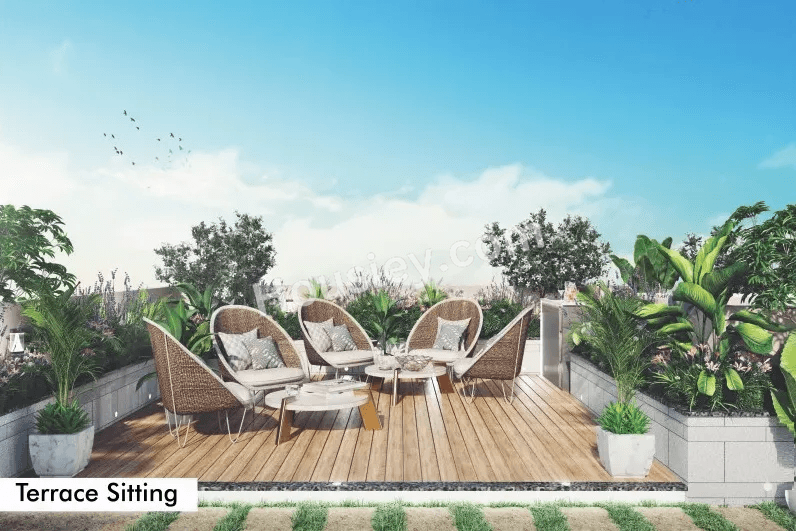 Project image 6