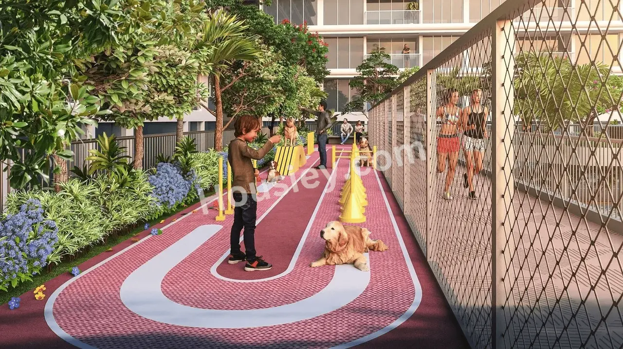 Project image 14